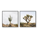 Cactus Pair