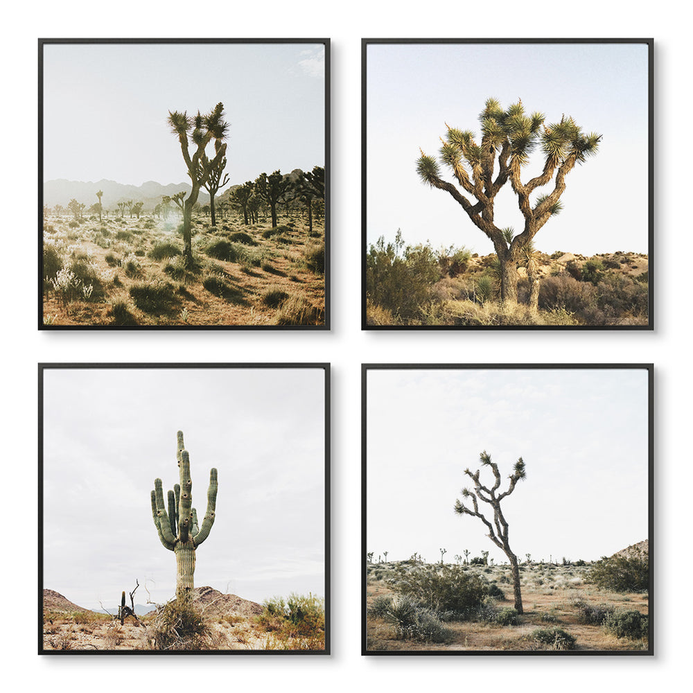 Cactus Set of 4