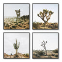 Cactus Set of 4