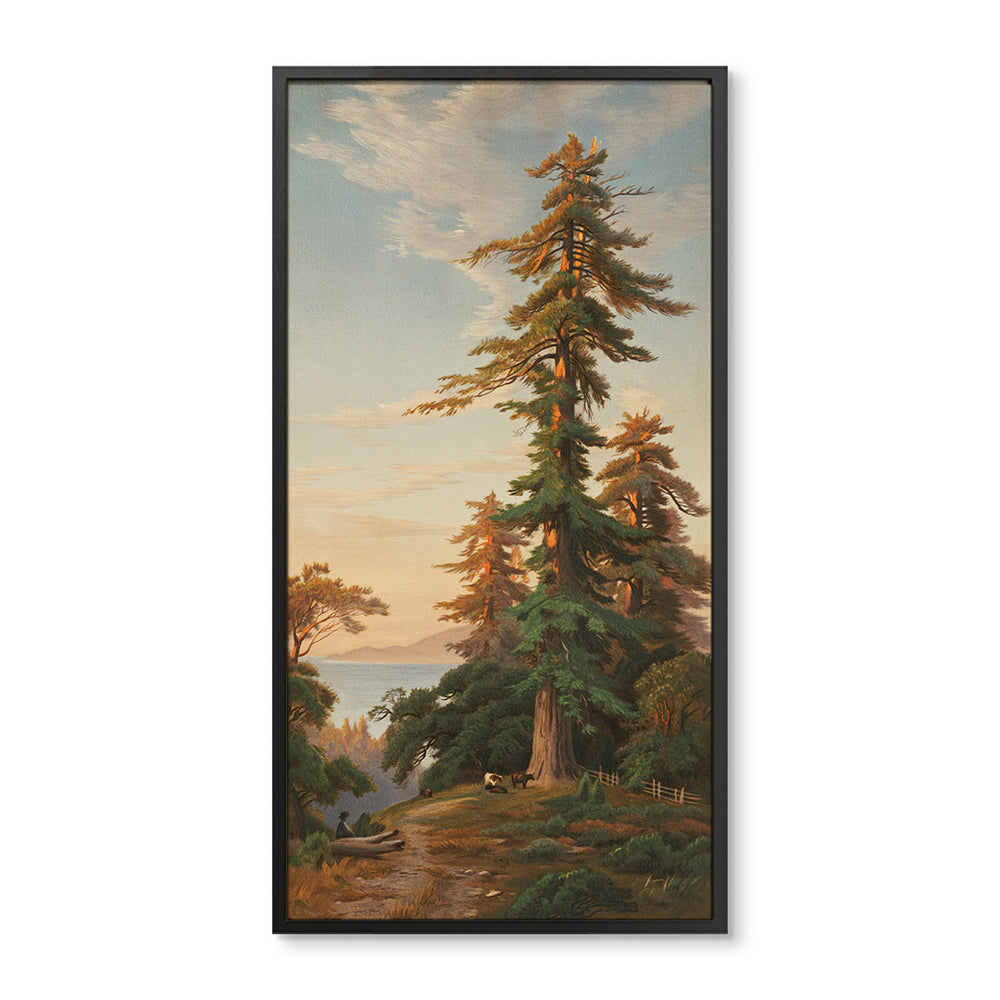 Redwood Trees Panel No.2