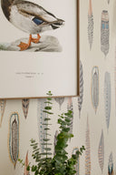 Product <em>Info</em>