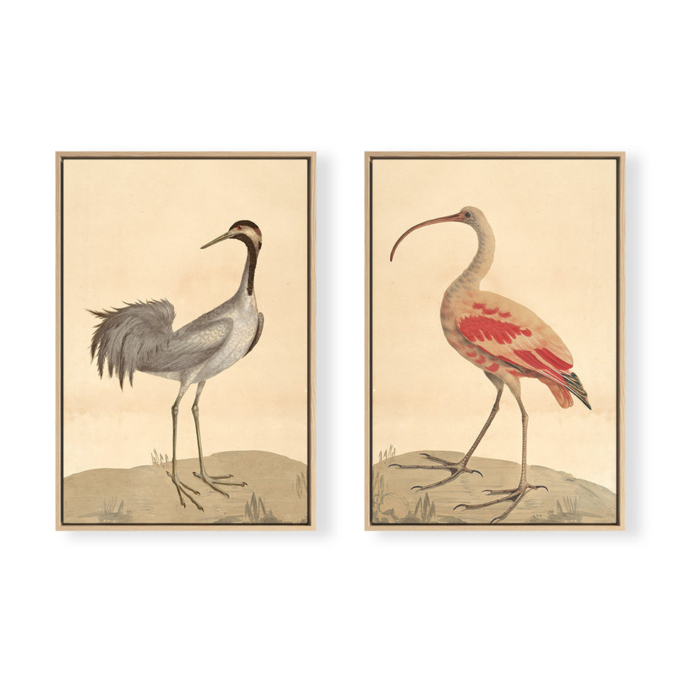 Vintage Bird Pair | Coastal Bird Art | Fine Art Prints – Urban Garden ...
