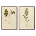 Vintage Botanicals Pair