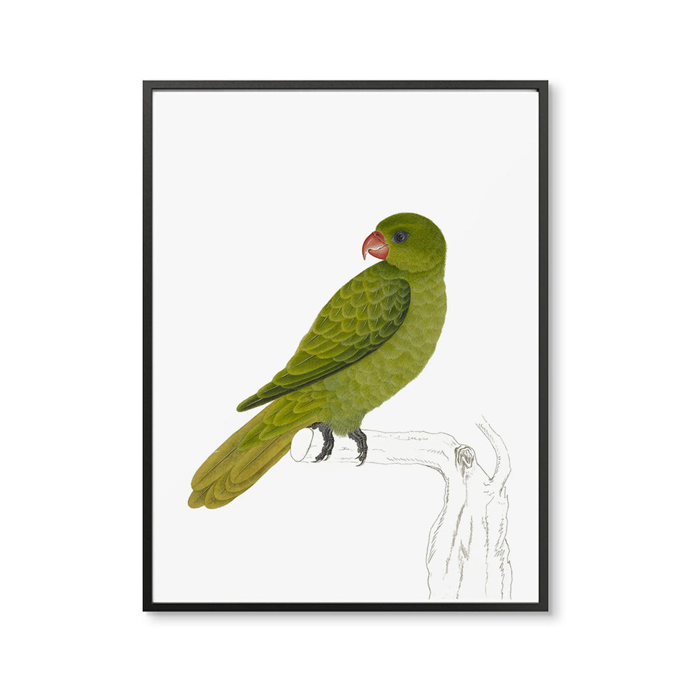 Vintage Green Bird