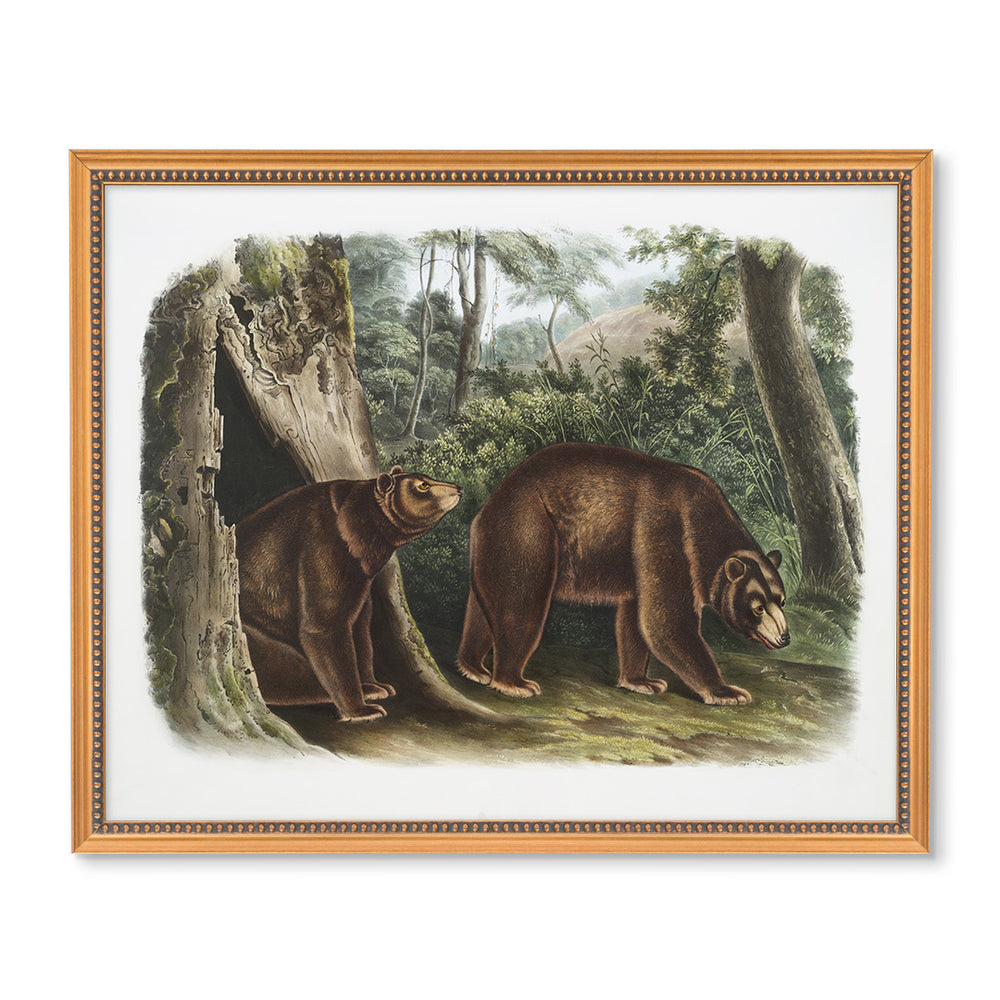 Vintage Bears