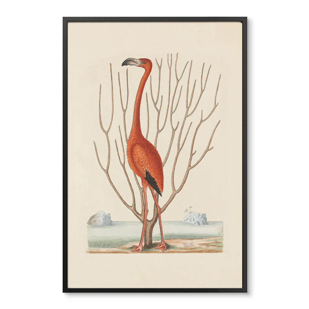 Vintage Flamingo Standing