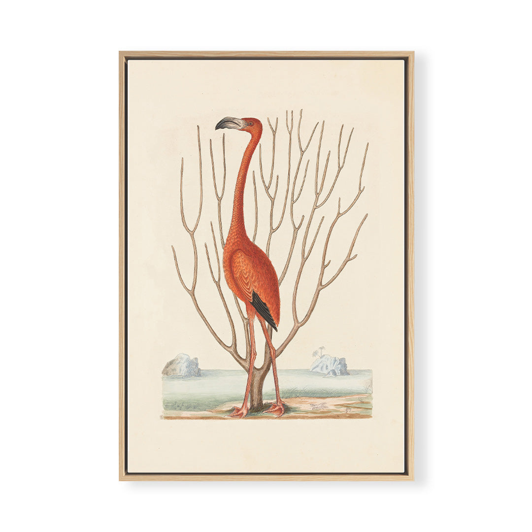 Vintage Flamingo Standing