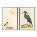 Vintage Blue Heron & Pelican Pair