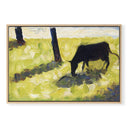 Cow in Pasture