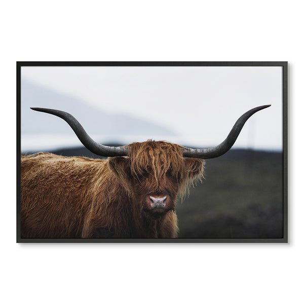 Newfoundland Cow | Wholesale Giclee Prints – Urban Garden Prints