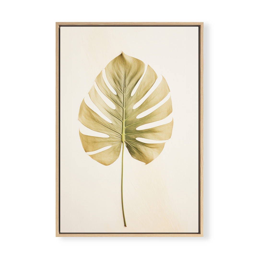 Regal Monstera No. 1