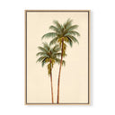 Shady Palms No. 1