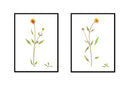 Coneflower Pair