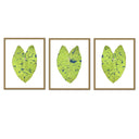 Elephant Ear Trio