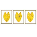 Elephant Ear Trio