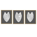 Elephant Ear Trio
