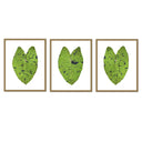 Elephant Ear Trio