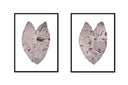 Elephant Ear Pair