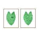 Elephant Ear Pair