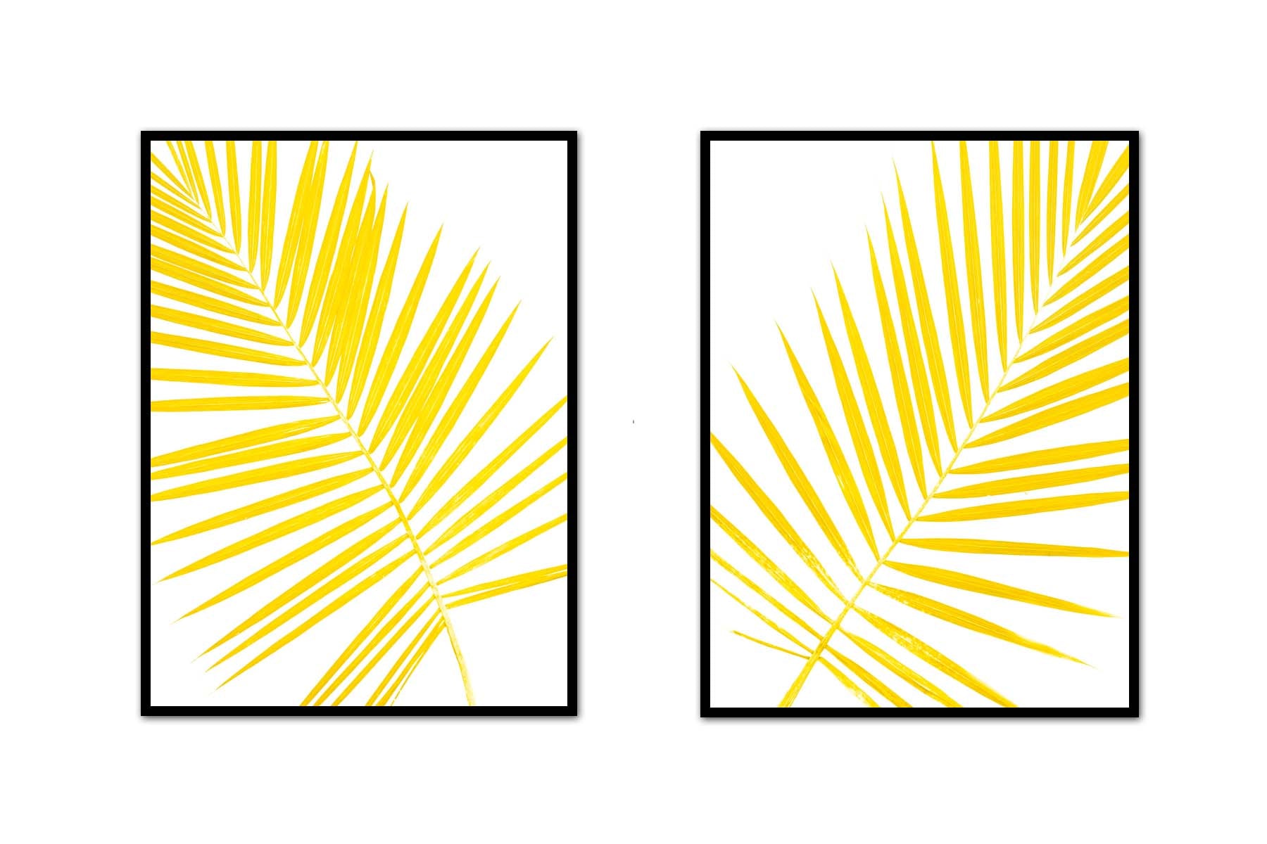 Palm Frond Pair