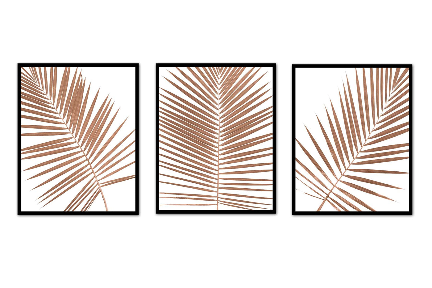 Palm Frond Print Trio | Palm Leaves Set of 3 | Coastal Botanical Art ...