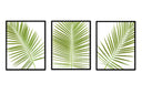 Palm Frond Trio