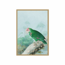 Tropical Parrot No. 2