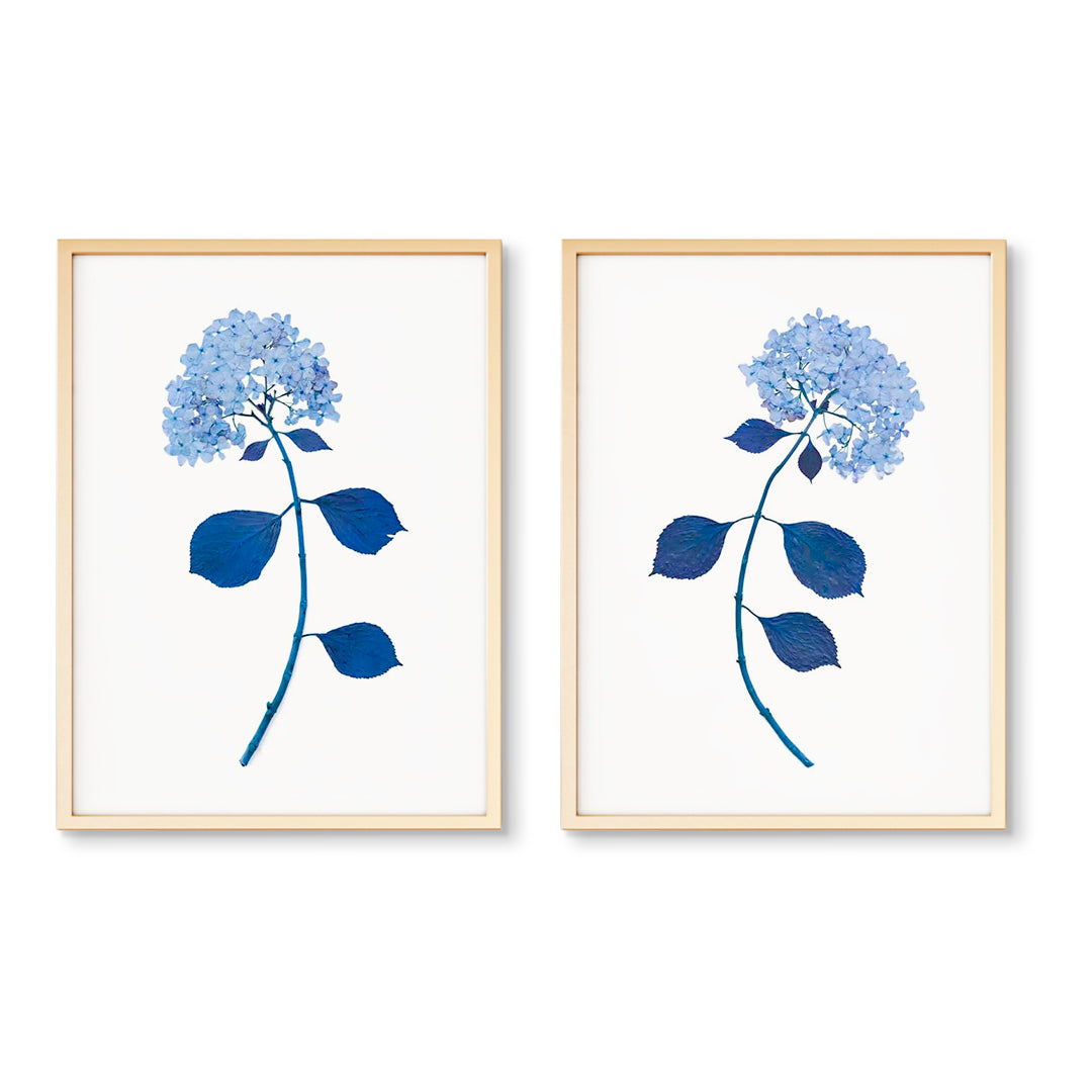 Dried Hydrangea Pair | Southern Inspired Art | Hydrangeas Prints