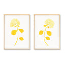 Dried Hydrangea Pair No. 1