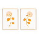 Dried Hydrangea Pair No. 1