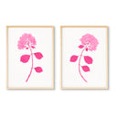 Dried Hydrangea Pair No. 1