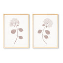 Dried Hydrangea Pair No. 1
