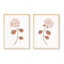 Dried Hydrangea Pair No. 1