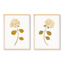 Dried Hydrangea Pair No. 1
