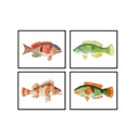 Bright Vintage Fish Set