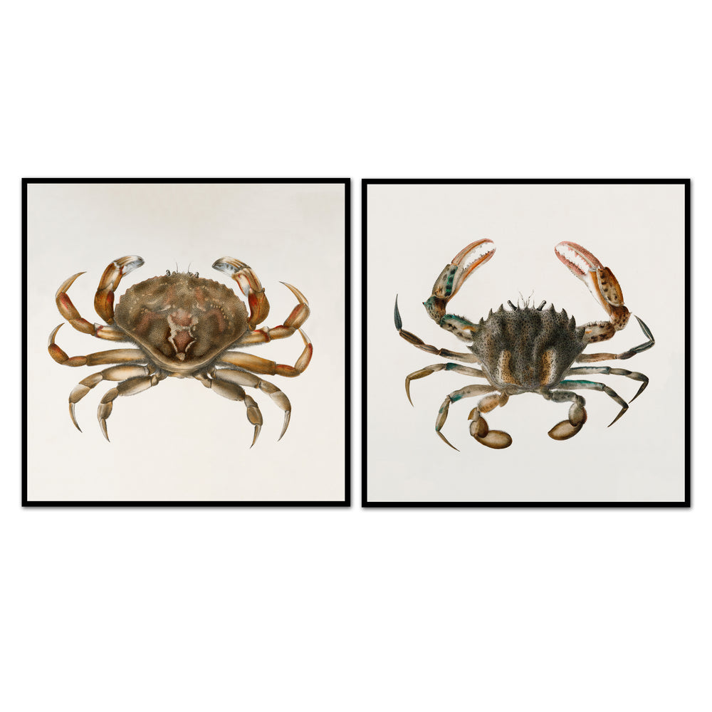 Vintage Crab Pair