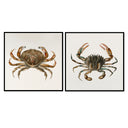 Vintage Crab Pair