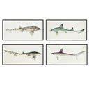 Vintage Shark Set of 4