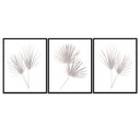 Happy Palm Trio