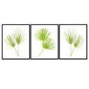 Happy Palm Trio