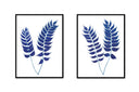 Holly Fern Pair