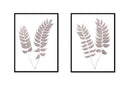 Holly Fern Pair