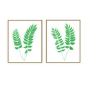 Holly Fern Pair