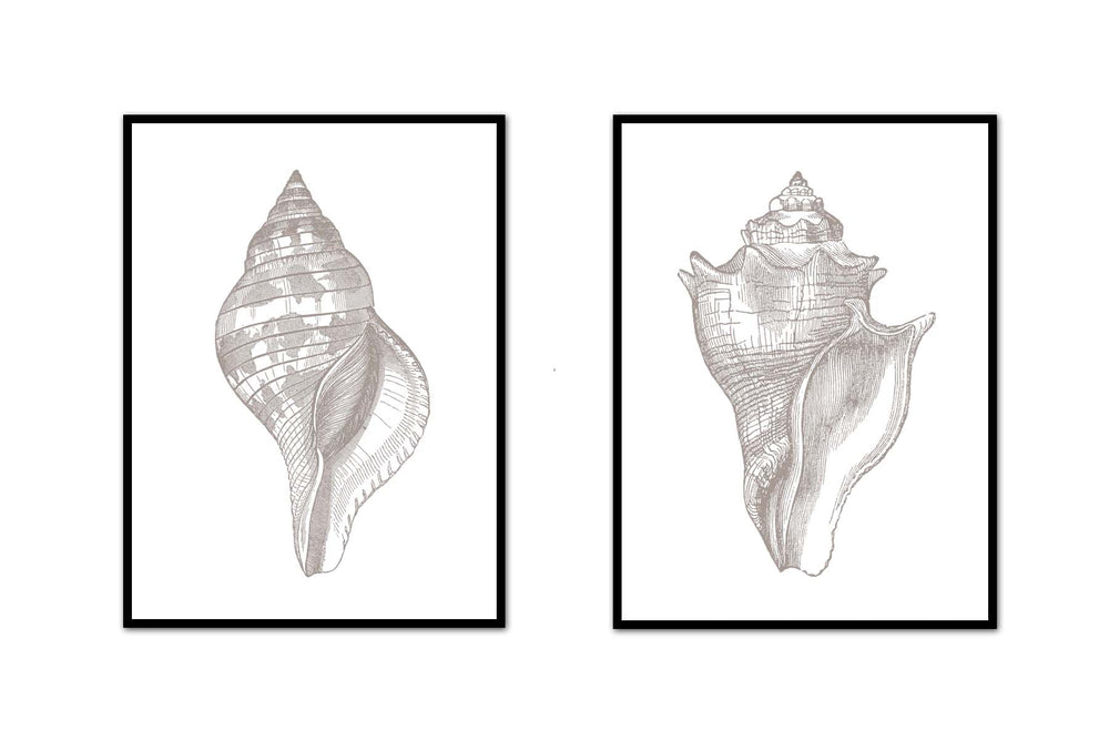 Masculine Shell Pattern Masculine – Page 3 – Urban Garden Prints