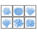 Succulent Illustration Set of 6