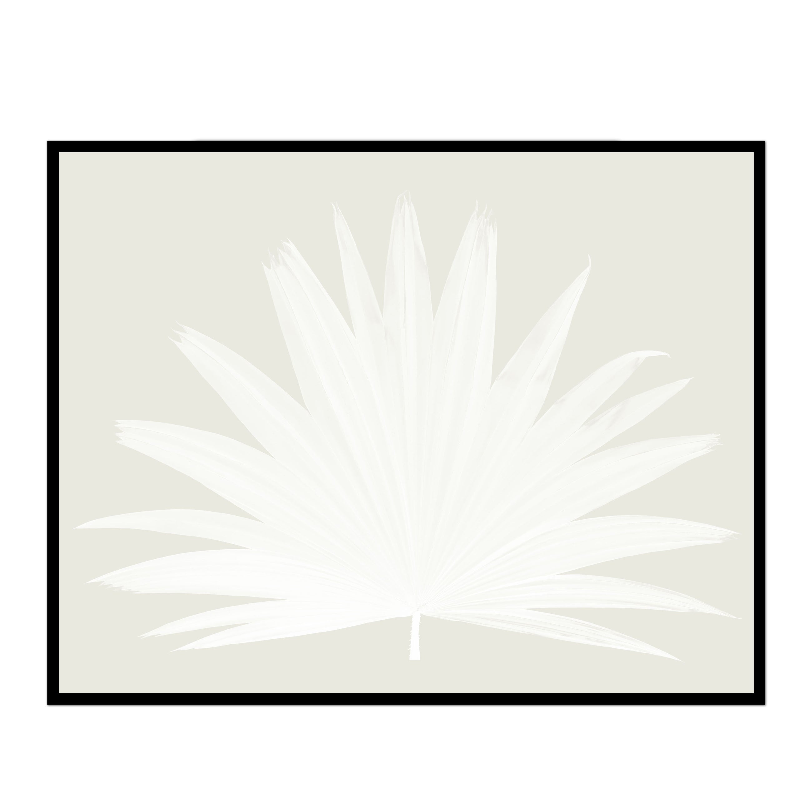 Fan Palm - Midnight Blue main image 1