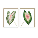 Caladium Pair