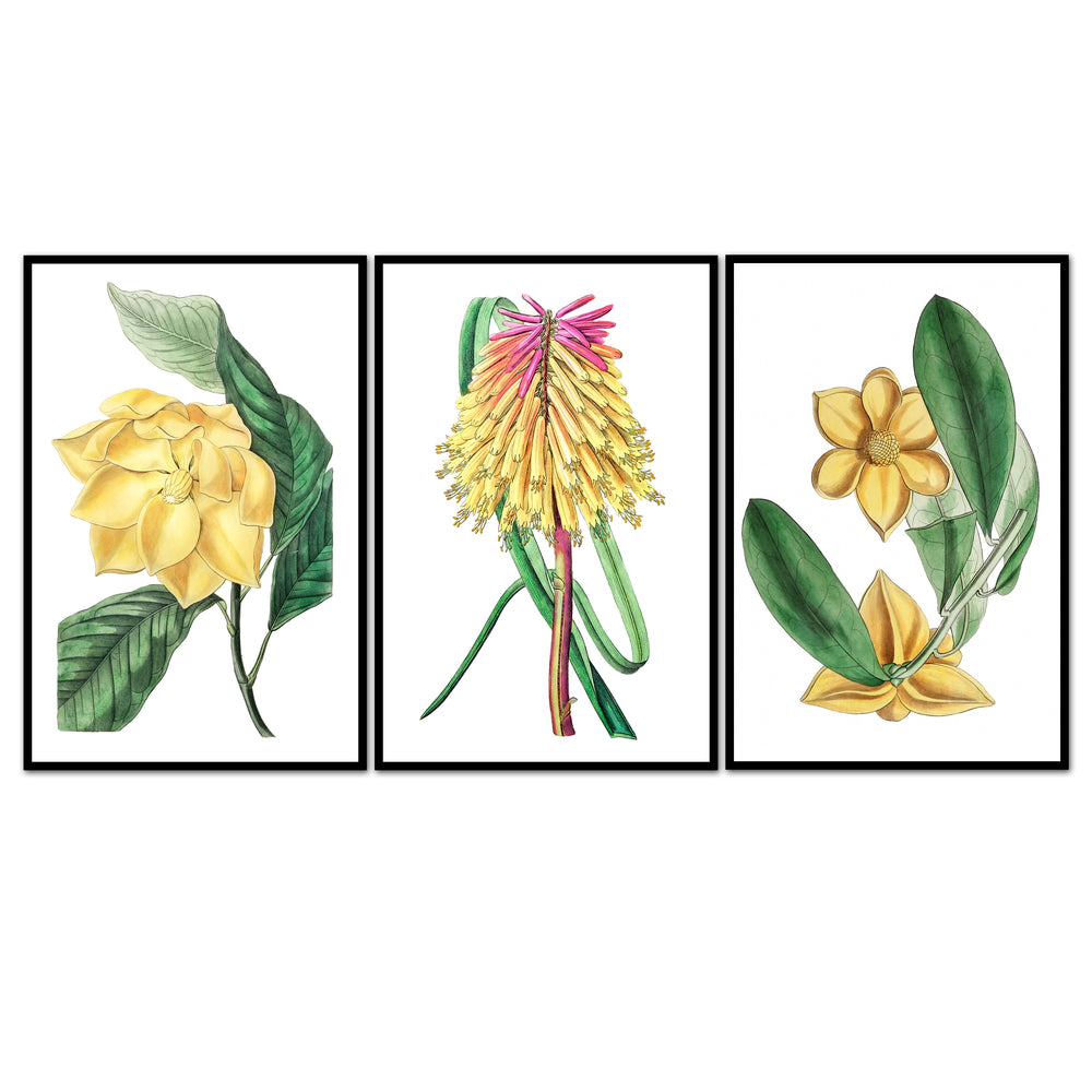 Traditional Flower Trio
