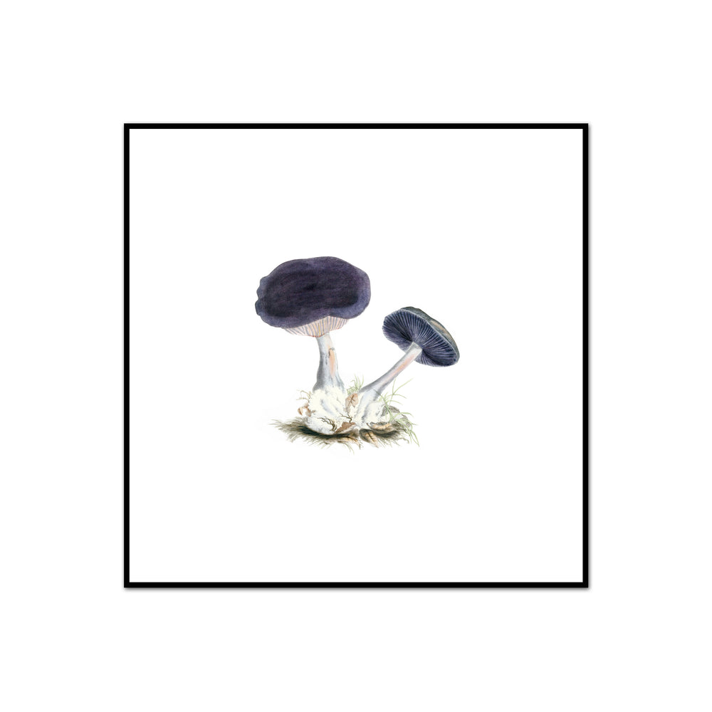 Vintage Mushroom No. 1