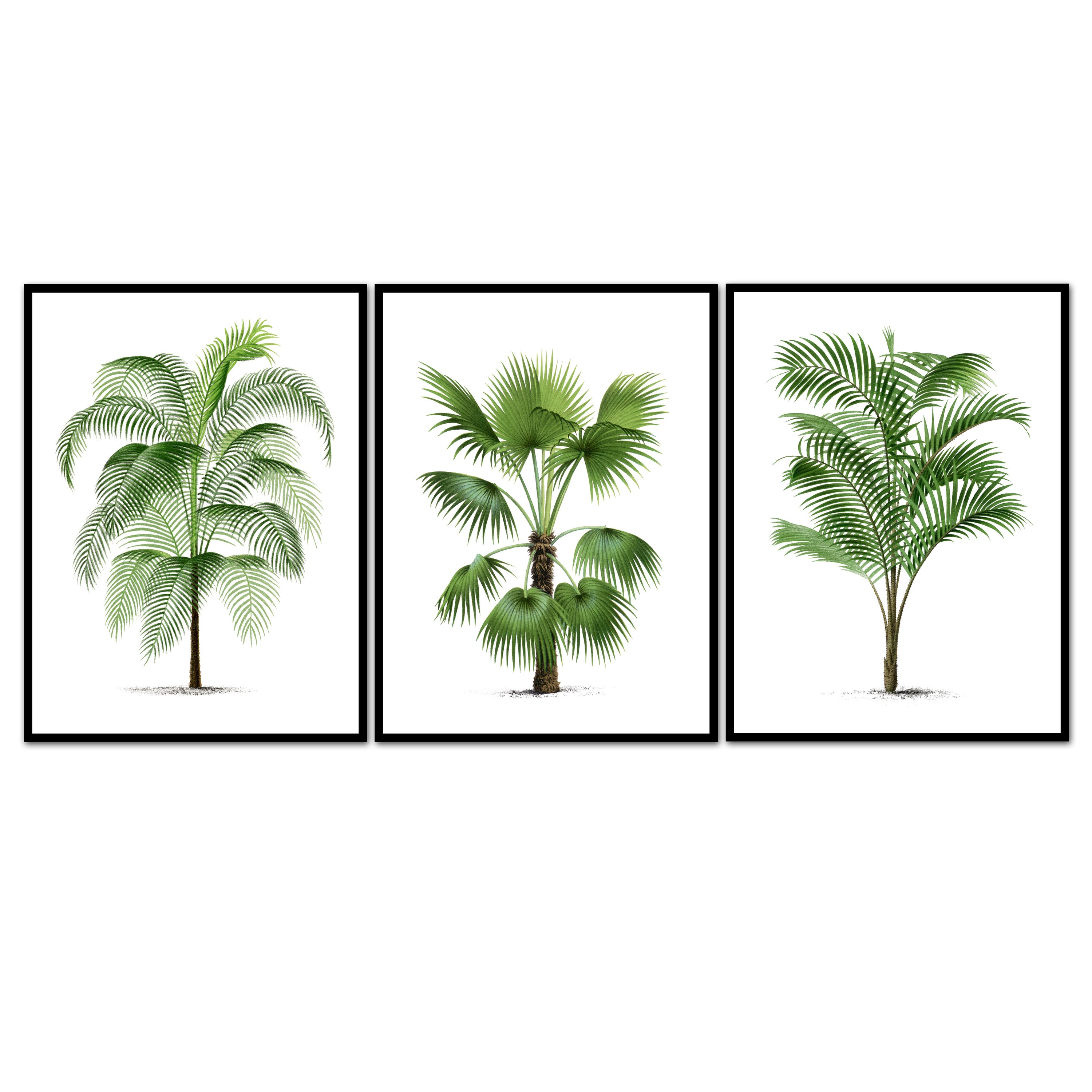Vintage Large Palm Trio